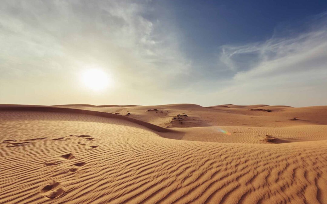 Pourquoi 80% des sites vitrines ne génèrent aucun client (et comment éviter ça)