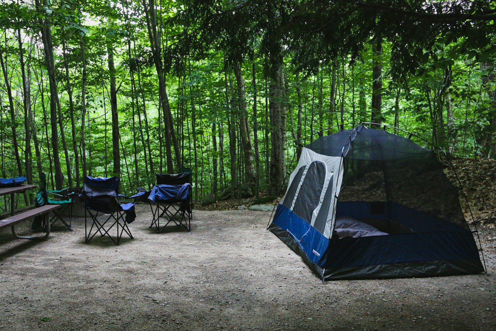 Une tente et des chaises de camping installées sous les arbres
