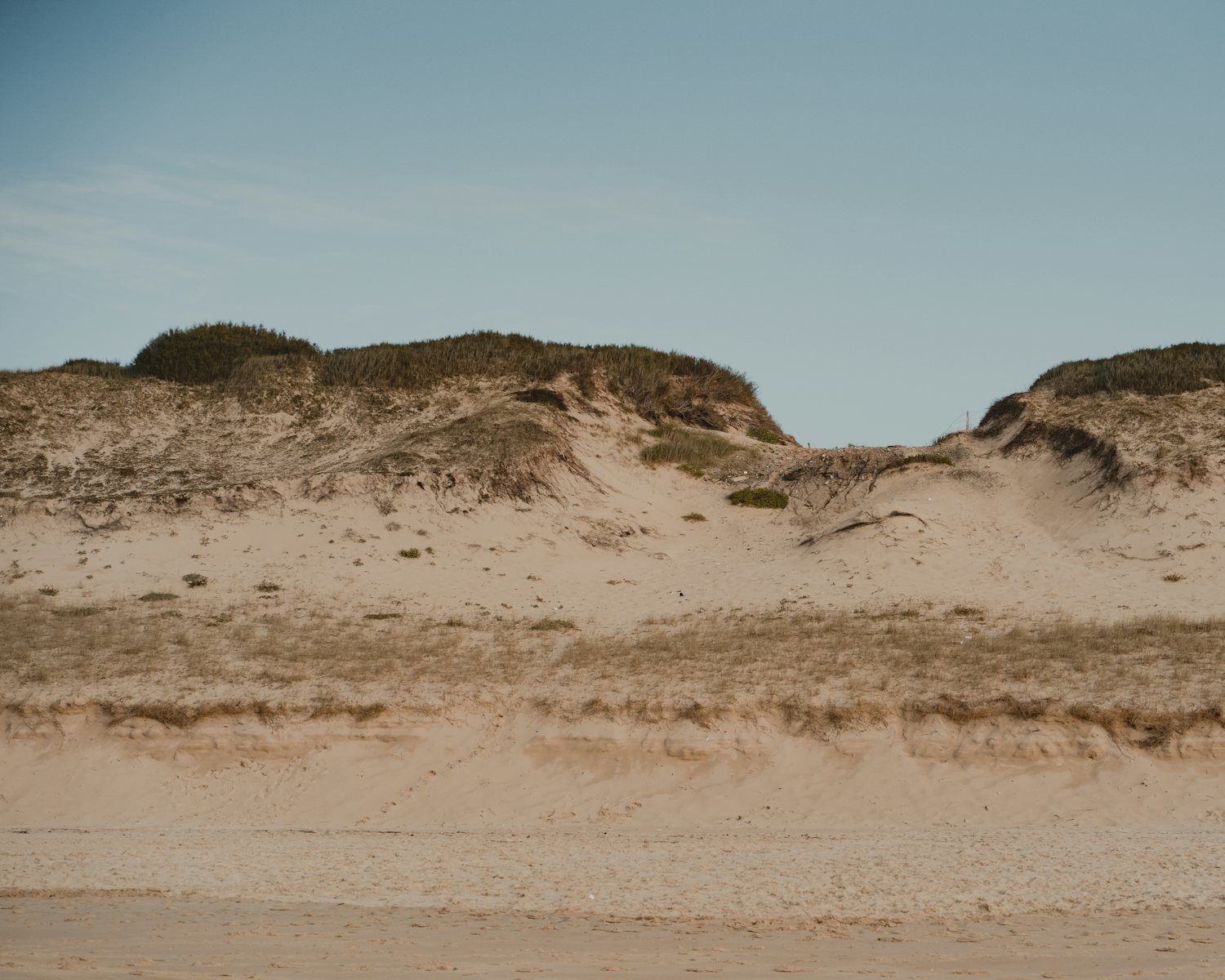 Dune de la plage des Bourdaines à Seignosse, dans les Landes