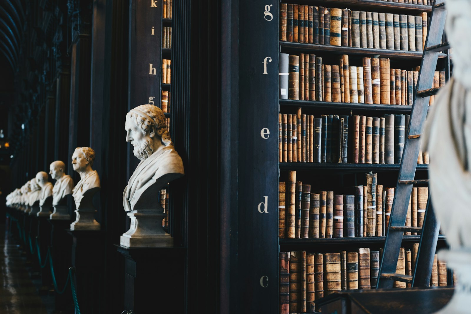 Rayonnages de livres reliés dans un cabinet