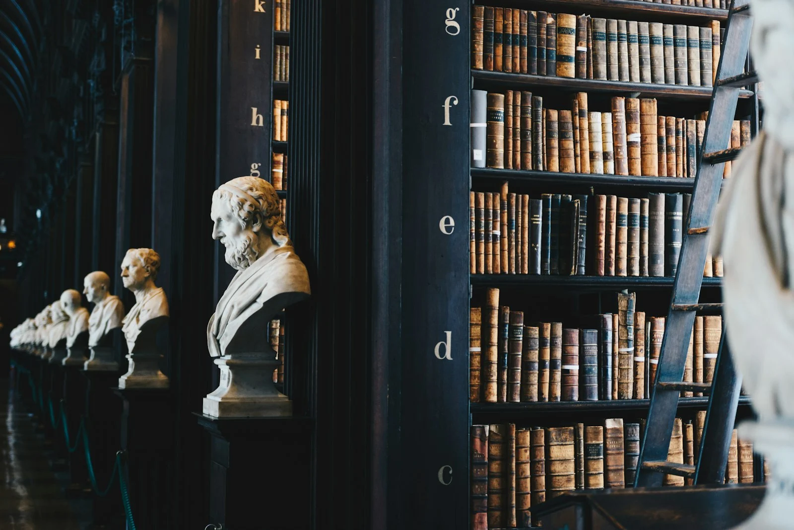 Rayonnages de livres reliés dans un cabinet